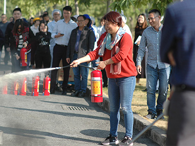 新的員工集合中