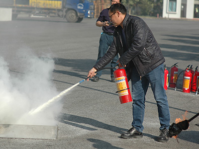 新的員工集合中