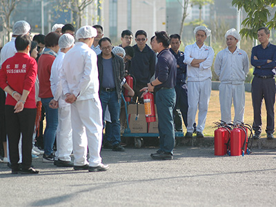 新的員工集合中